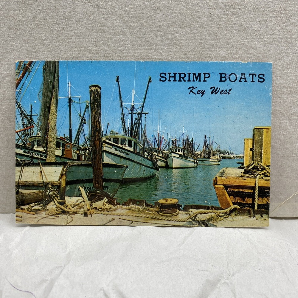 Vtg Shrimp Boats In Harbour Key‎ West Florida Postcard Unposted FL Sea Ocean